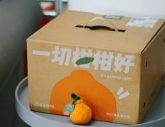 农产品 粑粑柑盒